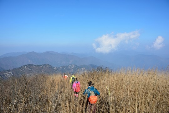 戶外登山 徒步