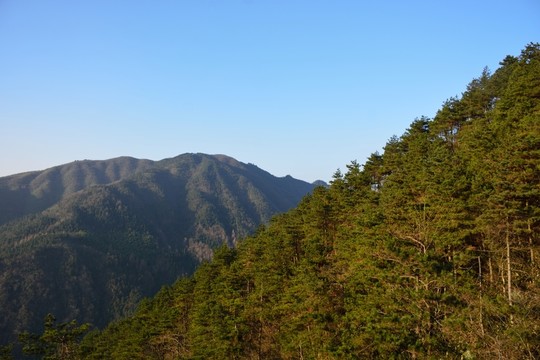 天目山自然保護區(qū)
