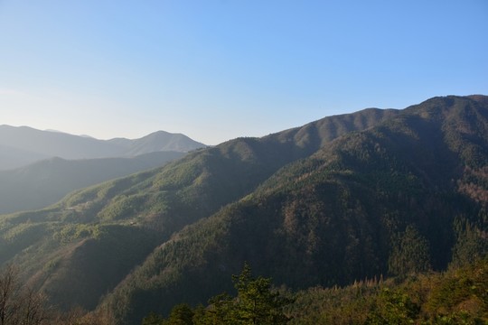 天目山自然保護(hù)區(qū)