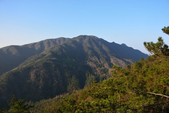 天目山自然保護(hù)區(qū)