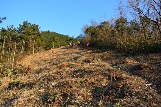 天目山自然保護(hù)區(qū)