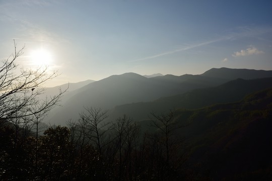 天目山自然保護區(qū)