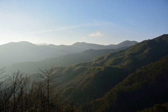 天目山自然保護(hù)區(qū)
