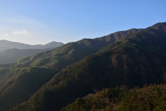 天目山自然保護(hù)區(qū)