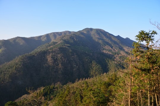 天目山自然保護(hù)區(qū)