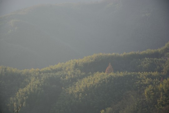 天目山自然保護區(qū)
