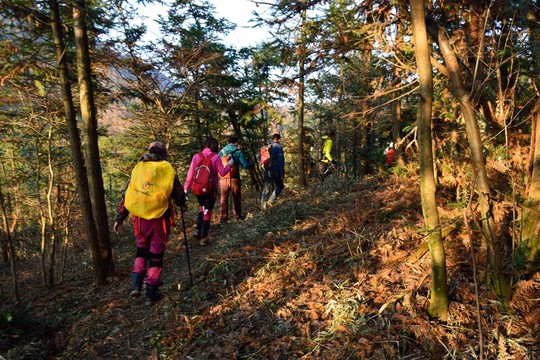 戶外驢友