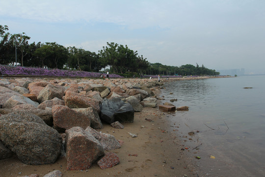 海岸