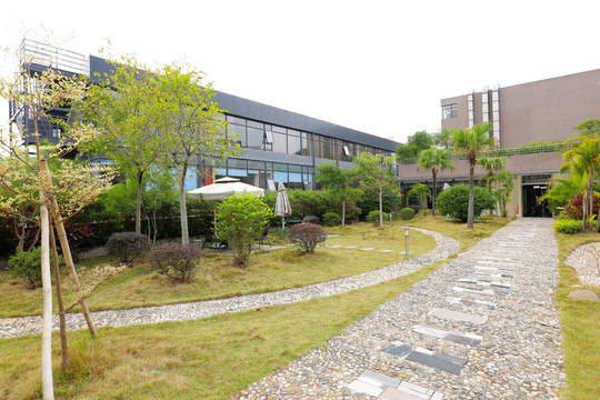 空中花園 花園