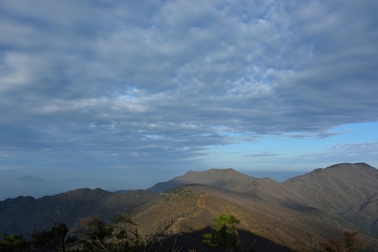天目山自然保護(hù)區(qū)