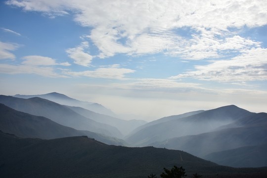 天目山自然保護(hù)區(qū)