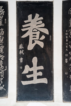 蘇軾養(yǎng)生字碑