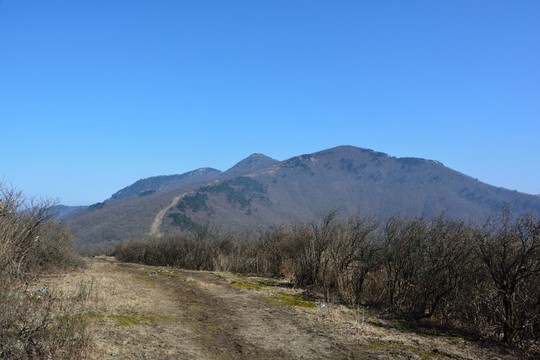 天目山自然保護(hù)區(qū)
