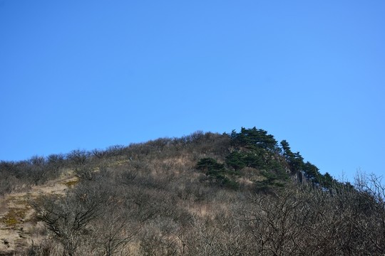 天目山 七尖山