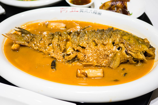 黃河大鯉魚