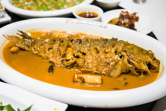 黃河大鯉魚