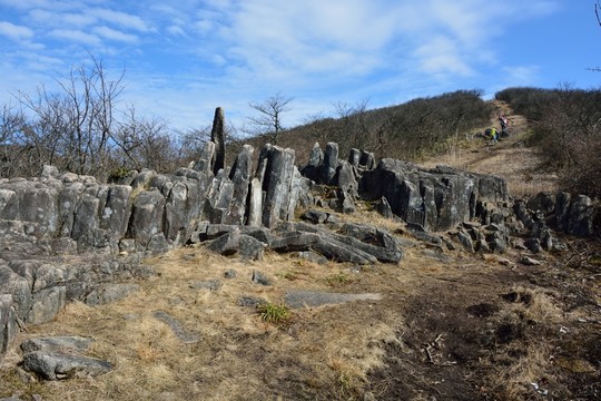 七尖山龍鱗坡 天目山