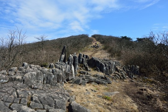 七尖山龍鱗坡 天目山