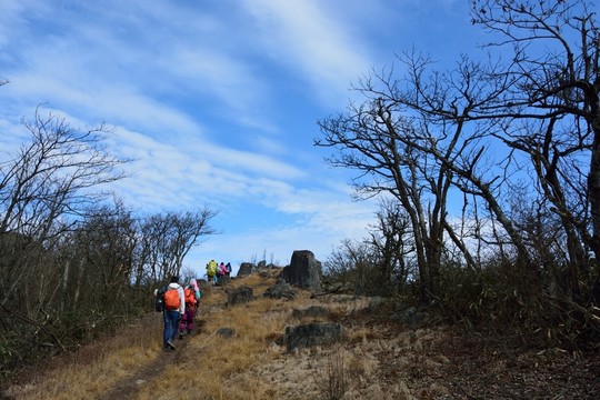 天目山自然保護(hù)區(qū) 天目山素材