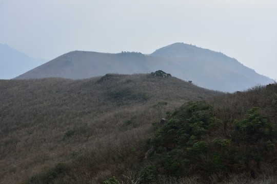 天目山自然保護(hù)區(qū)