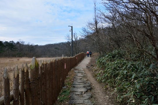 天目山自然保護區(qū)