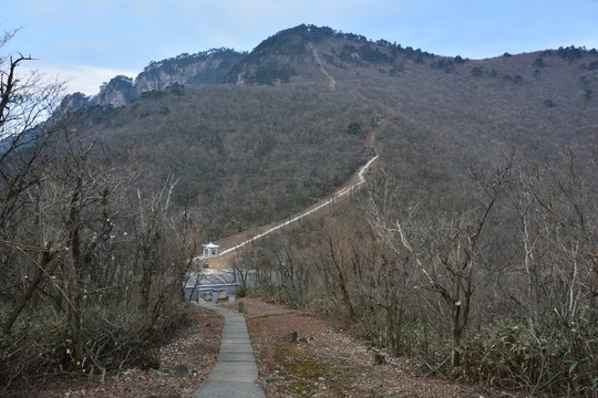 天目山自然保護區(qū)