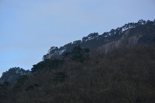 天目山自然保護(hù)區(qū)