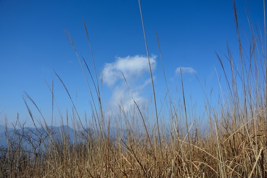 七尖風(fēng)景