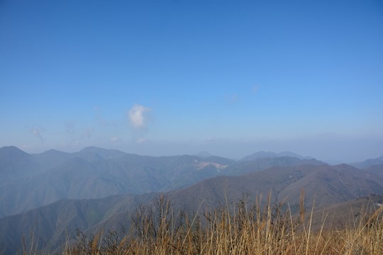 天目山自然保護區(qū)