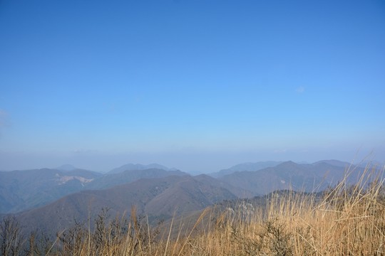 天目山自然保護區(qū)