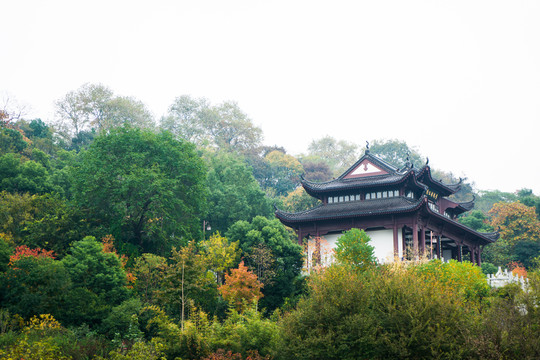 仿古建筑