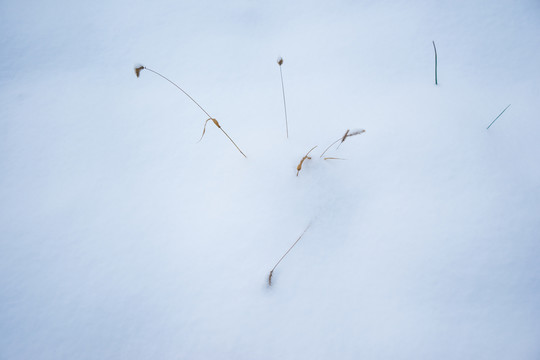 山野雪地