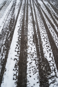 雪地車轍