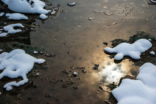 冬雪