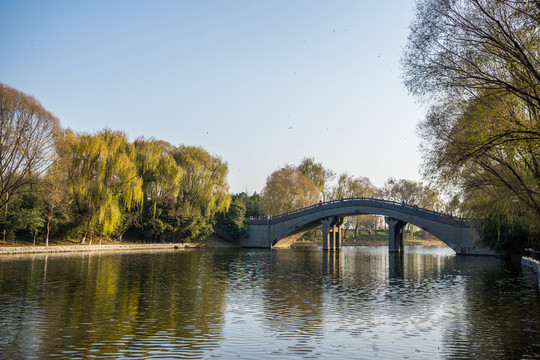 灞陵橋
