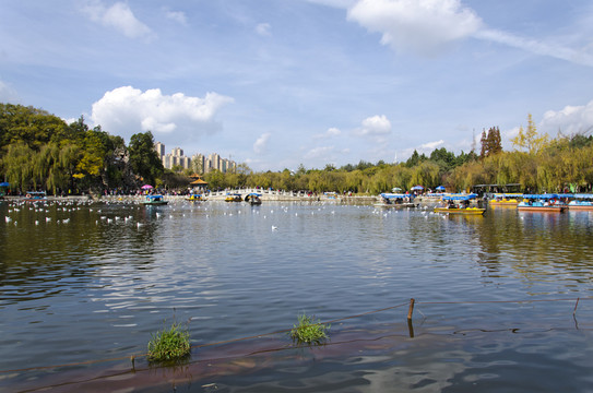 大觀樓風景