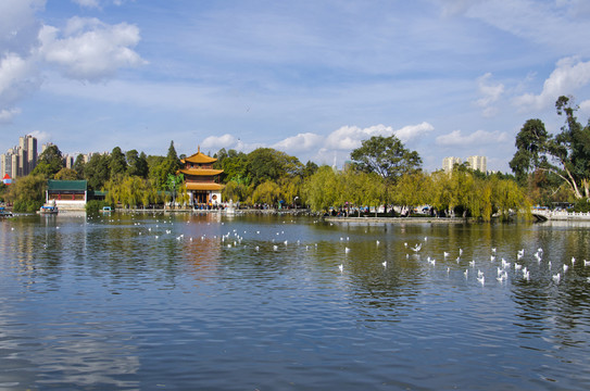 大觀樓風(fēng)景