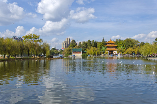 大觀樓風(fēng)景