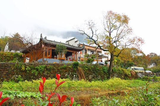 皖南塔川風(fēng)光