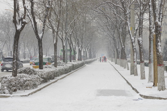 大雪街道