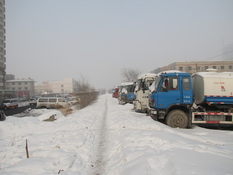 雪景