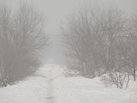 雪景
