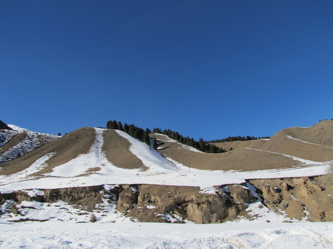 雪景