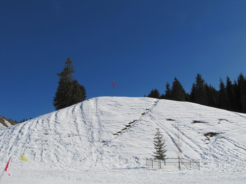 雪景