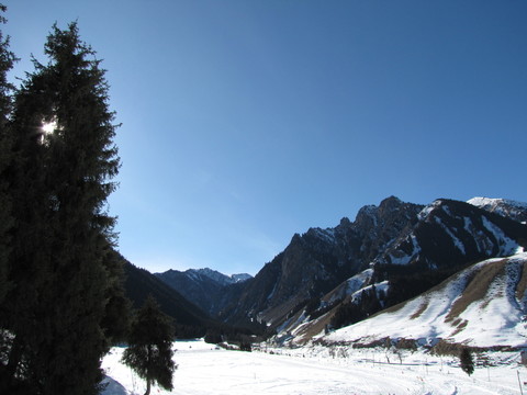 雪景