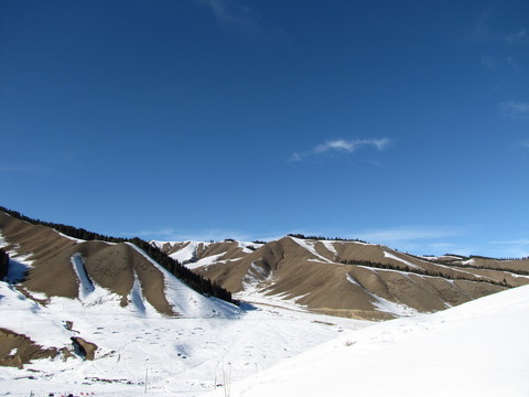 雪景