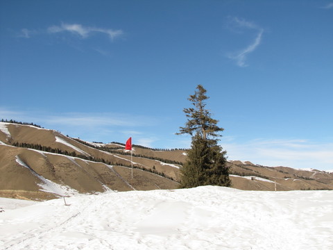雪景