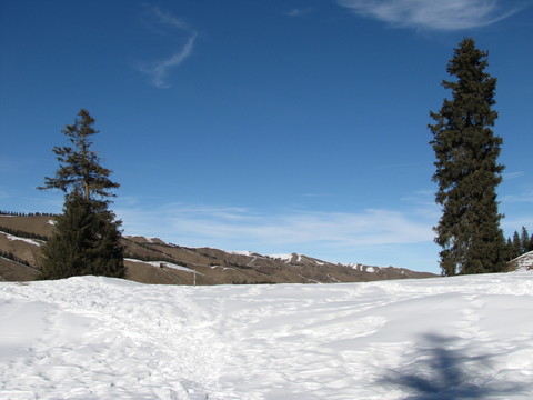 雪景