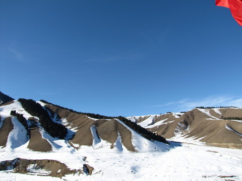 雪景