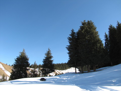 雪景